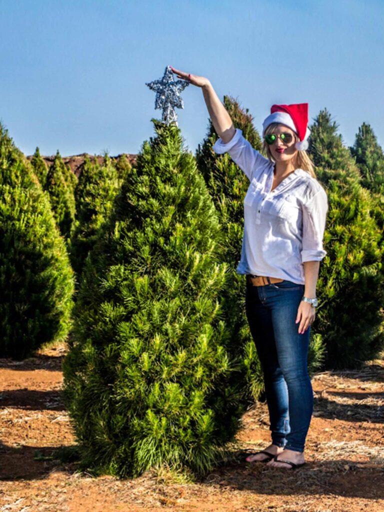 Pick Your Tree | Real Christmas Trees Melbourne
