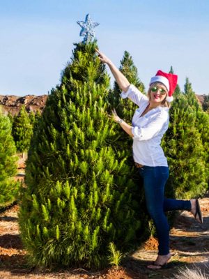 Premium Christmas Tree 6Ft (1.83M)