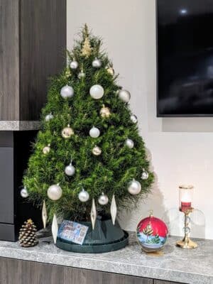 Real-Christmas-Tree-3-foot-delivered