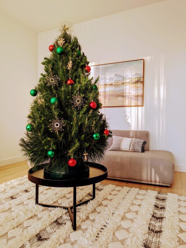 Real Christmas Tree 4 foot delivered in Melbourne