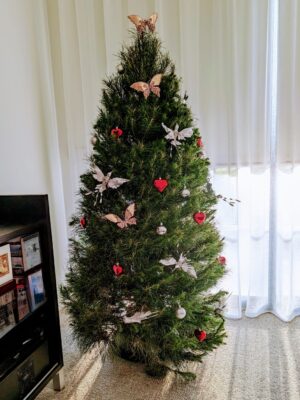 Real Christmas Tree 5 foot (1.5M)