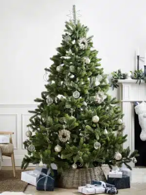 European Christmas Tree 5ft (1.5M) Douglas Fir